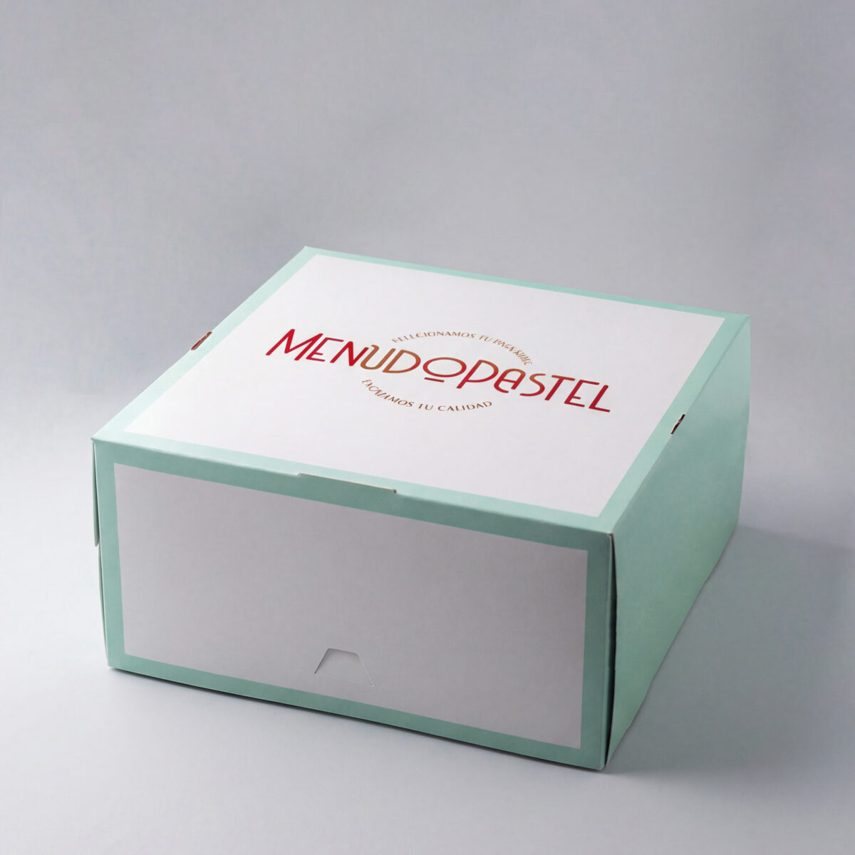 Caja con frontal abatible. TS